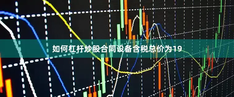 如何杠杆炒股合同设备含税总价为19