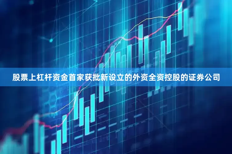 股票上杠杆资金首家获批新设立的外资全资控股的证券公司
