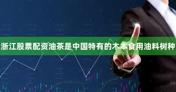浙江股票配资　　油茶是中国特有的木本食用油料树种
