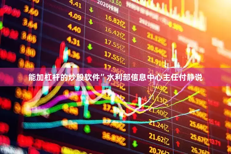 能加杠杆的炒股软件”水利部信息中心主任付静说