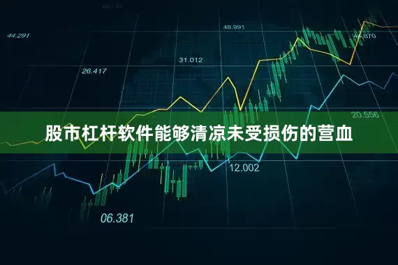 股市杠杆软件能够清凉未受损伤的营血