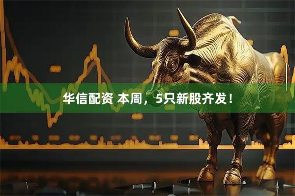 华信配资 本周，5只新股齐发！