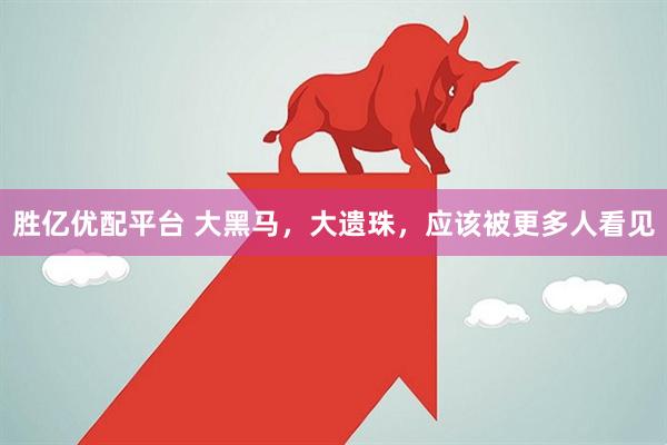 胜亿优配平台 大黑马，大遗珠，应该被更多人看见