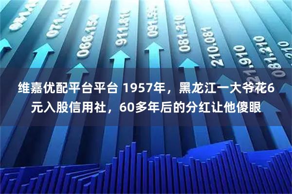 维嘉优配平台平台 1957年，黑龙江一大爷花6元入股信用社，60多年后的分红让他傻眼